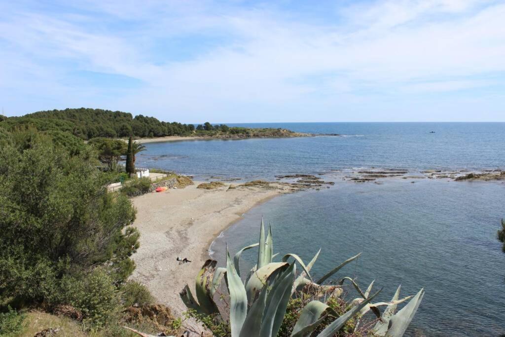 Luxury 4 Bed Apartment On Coastal Footpath At Cap Ras Llança Exteriör bild